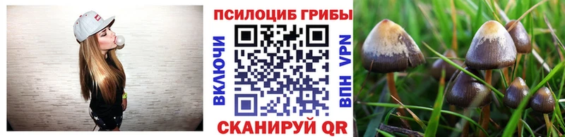 Галлюциногенные грибы мицелий  Шатура 