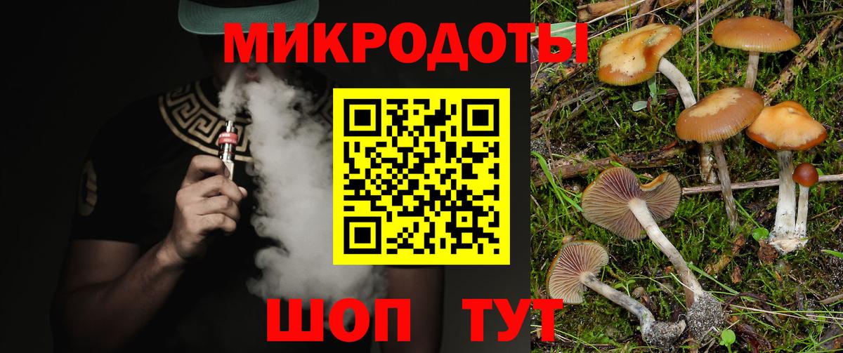 Псилоцибиновые грибы Cubensis Шатура