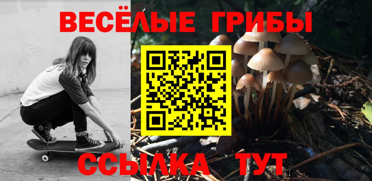 Псилоцибиновые грибы мицелий  Псилоцибиновые грибы прущие грибы  Вход с VPN  Шатура 